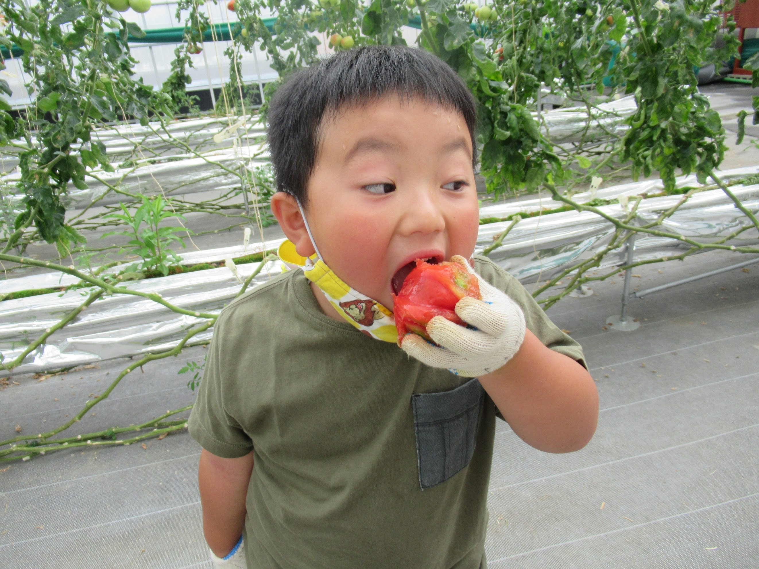 お子様にも大人気!