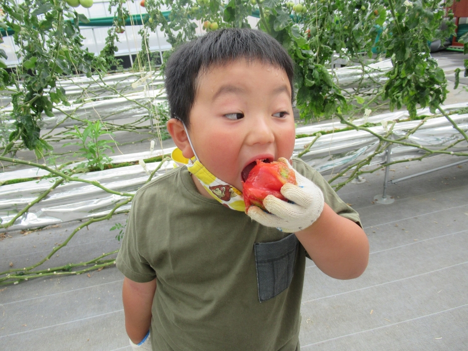 お子様にも大人気!