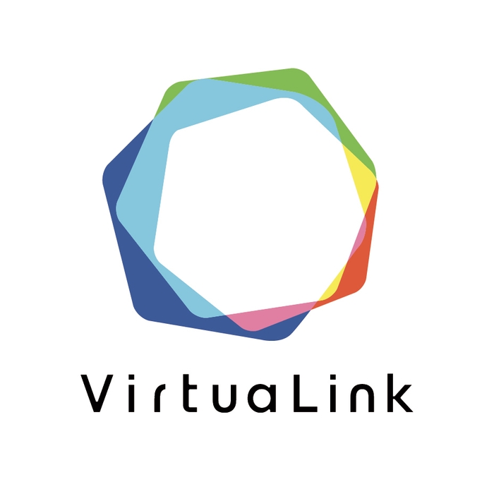 VirtuaLink白ロゴ