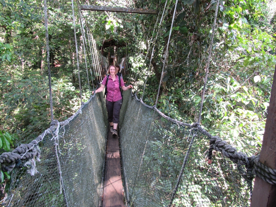ボルネオの自然の豊かさを肌で実感する