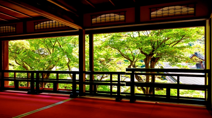 上書院特別公開 6/10~7/2