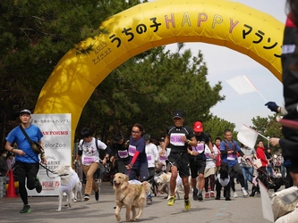 【ペット保険のアイペット】 北は新潟、南は愛知から、555頭のワンちゃんが大集合!! 約8000名が来場した日本最大級のドッグマラソン 「アイペット うちの子HAPPYマラソン 2019」結果発表