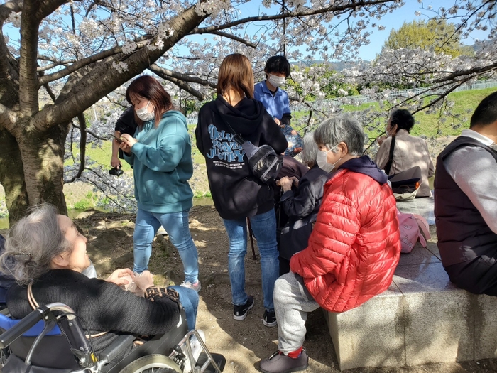 お花見の様子