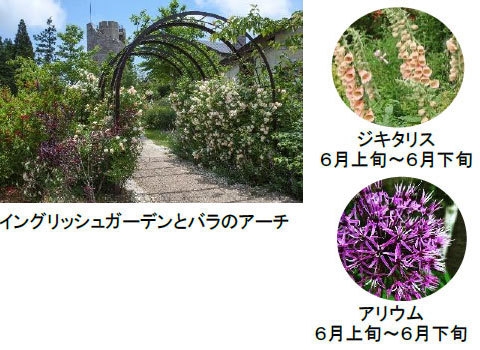 六甲ガーデンテラス コッテージガーデン