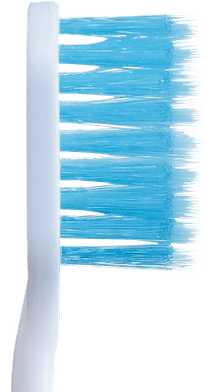 付替システマ極上プレミアム側面