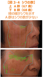 【図3・4 シワの数】