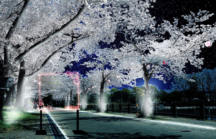 桜並木ライトアップイメージ