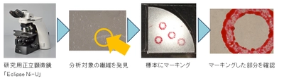 光学顕微鏡と電子顕微鏡を連携し、 アスベストの形態観察、計数、元素分析を行う 「アスベストCLEMソリューション」を提案