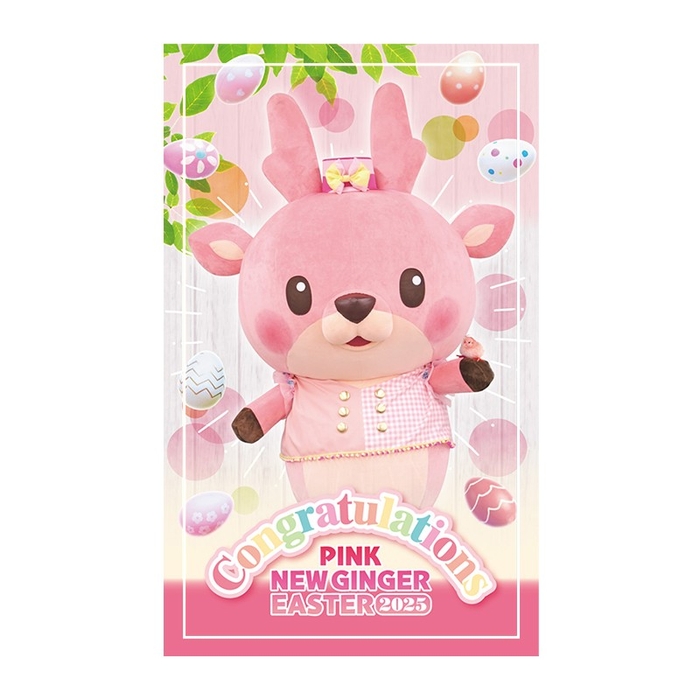 イワシカちゃんステッカー(非売品)/台紙サイズ:H100×W65mm