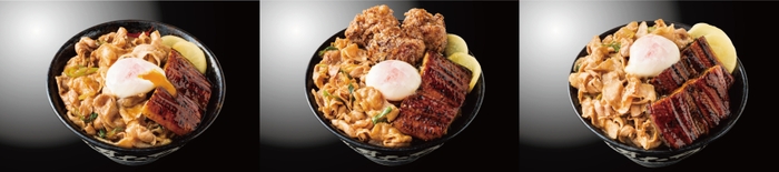 左から『うなぎ合盛りすた丼』『うなぎ唐揚げトリプル合盛りすた丼』『うなぎ合盛りすた丼W盛り』