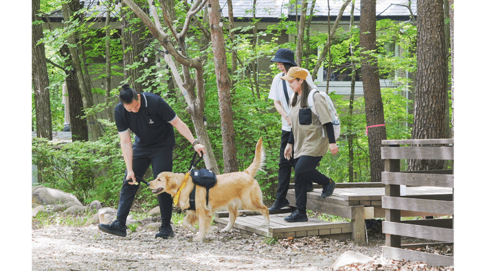 いつもワンちゃん目線で