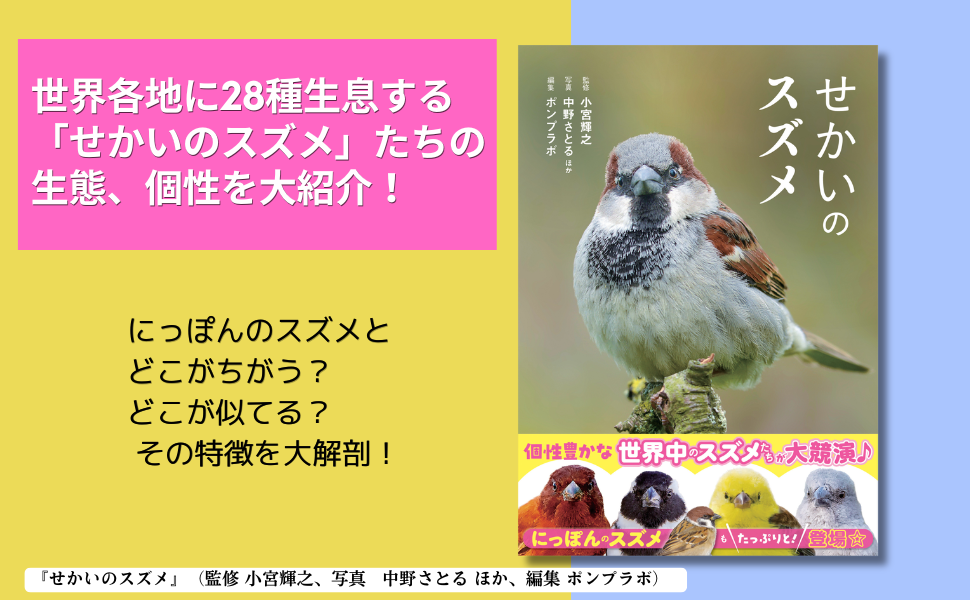 世界中で愛される28種のスズメ。その表情、しぐさ、個性を大紹介！『せかいのスズメ』5月7日発売