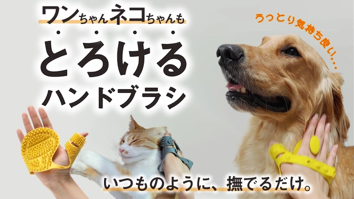 手に取り付ける画期的な「ペットもとろけるハンドブラシ」　 Makuakeにて11月24日から1月20日まで先行予約販売開始