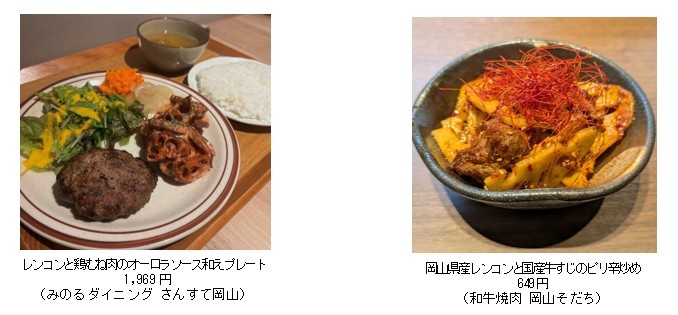 ～シャキシャキ食感と上品な甘みを堪能～
岡山県内の全農直営飲食店舗で「岡山県産レンコンフェア」を
１０月２４日（土）～１１月８日（日）に開催