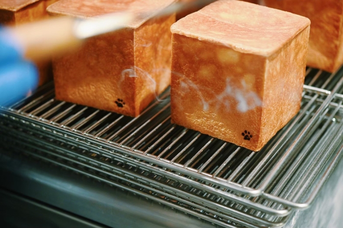 猫の足跡焼印付きpanda食パン