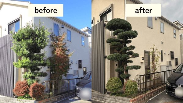 庭木の剪定