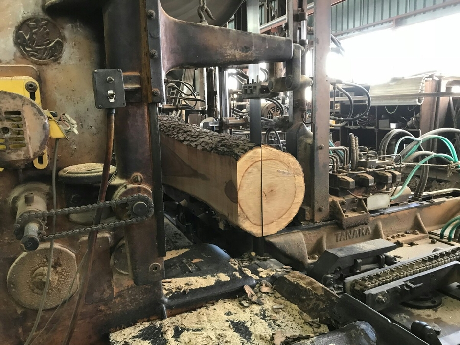 地域資源の活用で森を守る