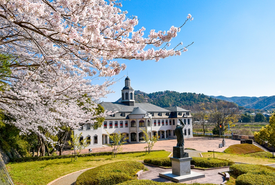 鳴門市観光振興課 提供