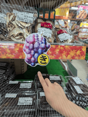 小さい秋見ぃ~つけた!