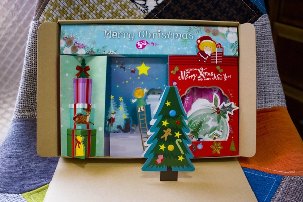 クリスマスギフトにおすすめ！ かわいすぎる健康食品「ちゅるっとサジー」に 限定クリスマスパッケージ登場！