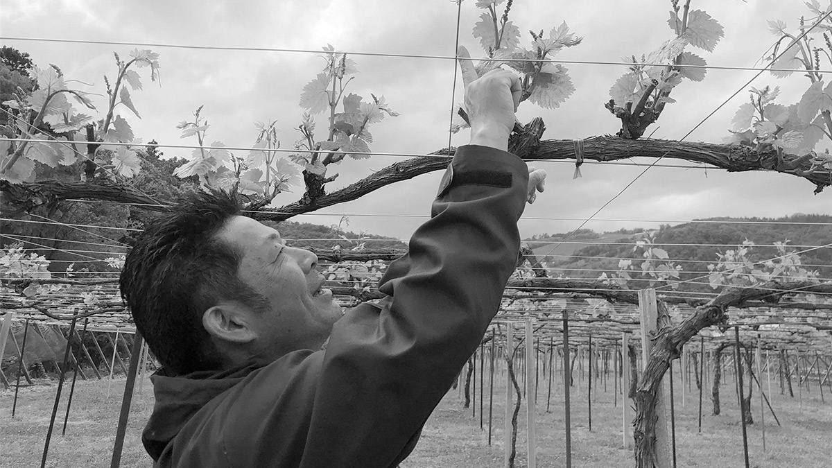 日本ワインなび取材レポ】駒園ヴィンヤード株式会社 取締役社長 近藤修