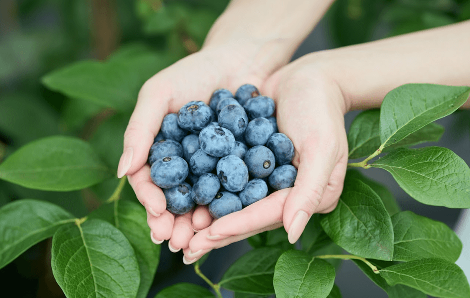 一つひとつ手塩にかけて