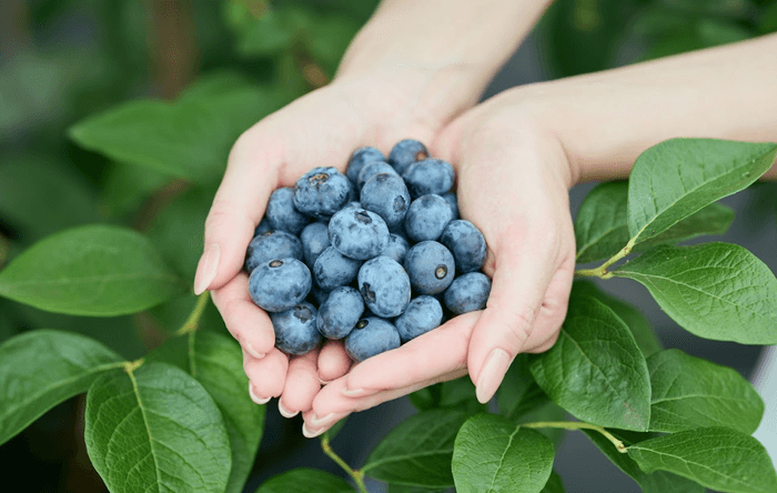 一つひとつ手塩にかけて