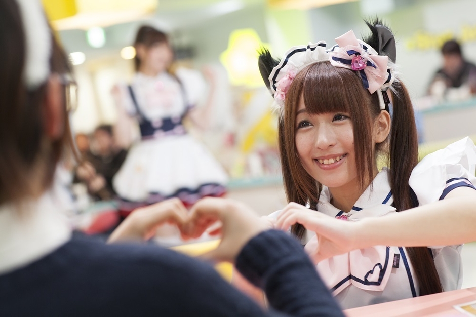 めいどりーみん様