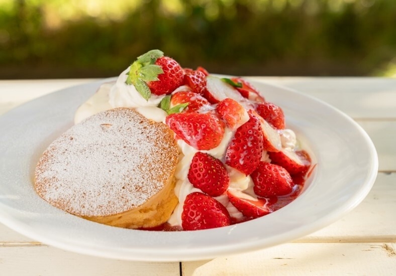 たっぷりいちごのパンケーキ
