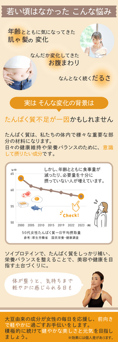 商品概要2