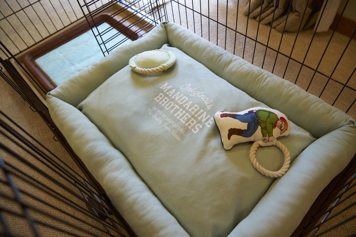 愛犬が落ち着いて過ごせる