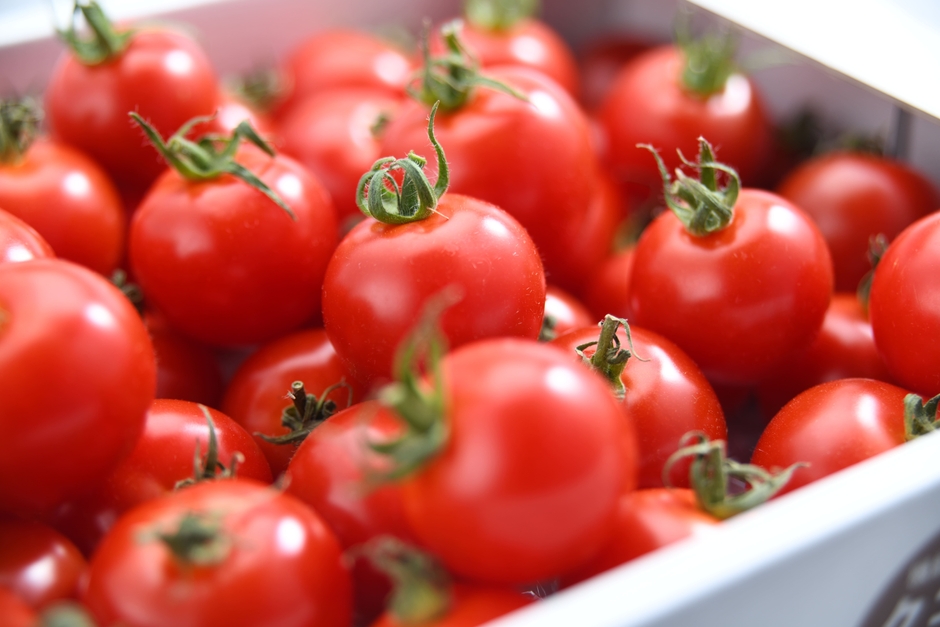 機能性Tricho 1.2kg箱