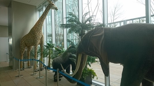 あべのハルカス16階 ぬいぐるみイメージ