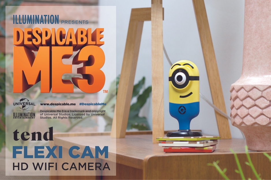 ミニオンズFlexiカム_イメージ