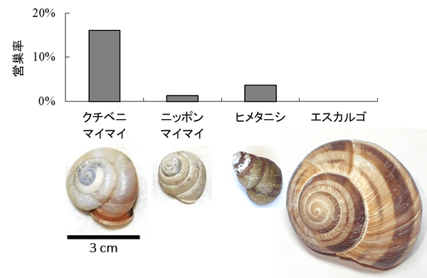 図1 野外における4種類の巻貝の空き殻に対する営巣選好性