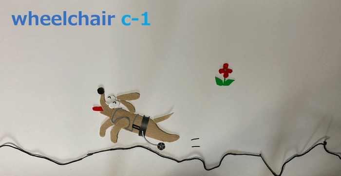 wheelchair c-1