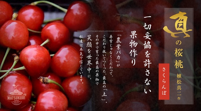 真の桜桃:さくらんぼ