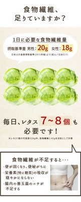 ランディングページ5