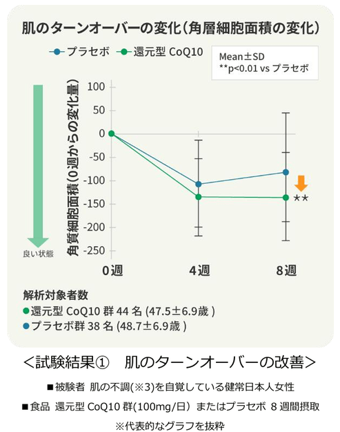＜試験結果(1)　肌のターンオーバーの改善＞