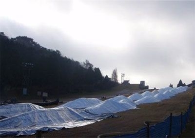 造雪開始から１か月後の様子