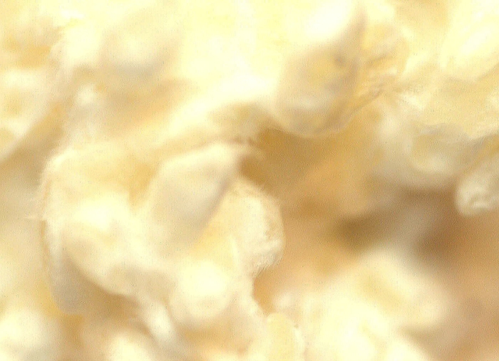 自家製の白米麹