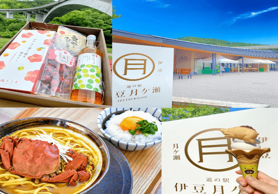 道の駅 伊豆月ケ瀬について