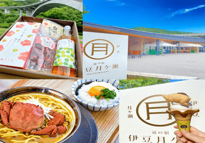 道の駅 伊豆月ケ瀬について