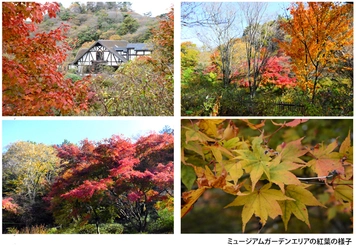 六甲オルゴールミュージアム ミュージアムガーデンの紅葉が見頃です！
