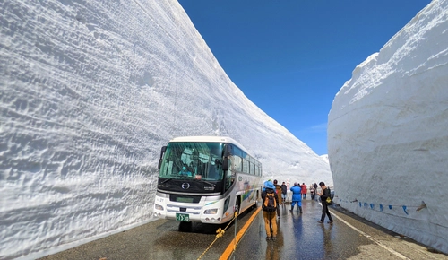 富山県と長野県を結ぶ“立山黒部アルペンルート”が 4月15日(火)に全線開通　 立山黒部の春を代表する「雪の大谷」の高さは16m！