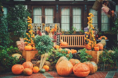 ハロウィンフェア(グラスハウス)