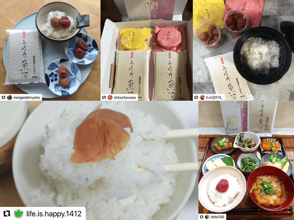 Instagram投稿画像