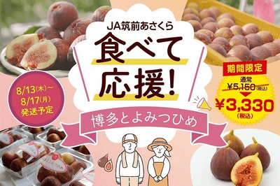 【食べて応援!特別価格!8/13~8/17発送予定】いちじく『博多とよみつひめ』約1.2kg