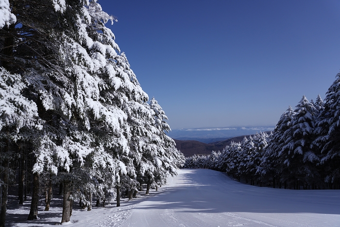 ブランシュたかやまスキーリゾート