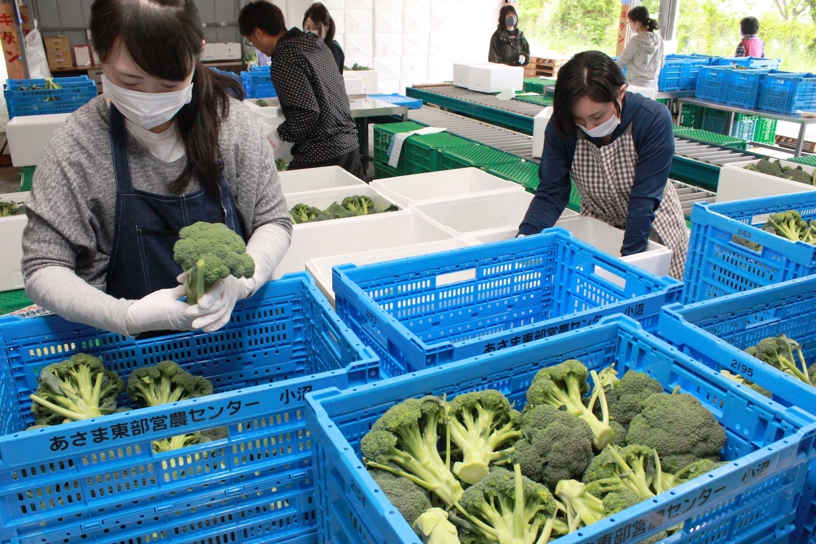 【軽井沢星野エリア】観光業と農業の人材交流の取り組みから生まれた野菜メニューの開発・提供を開始